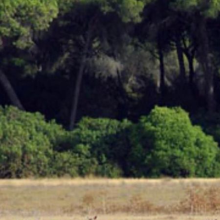 Pequeno Rocio Urbanizacion Privada Villa El Rocío Eksteriør bilde